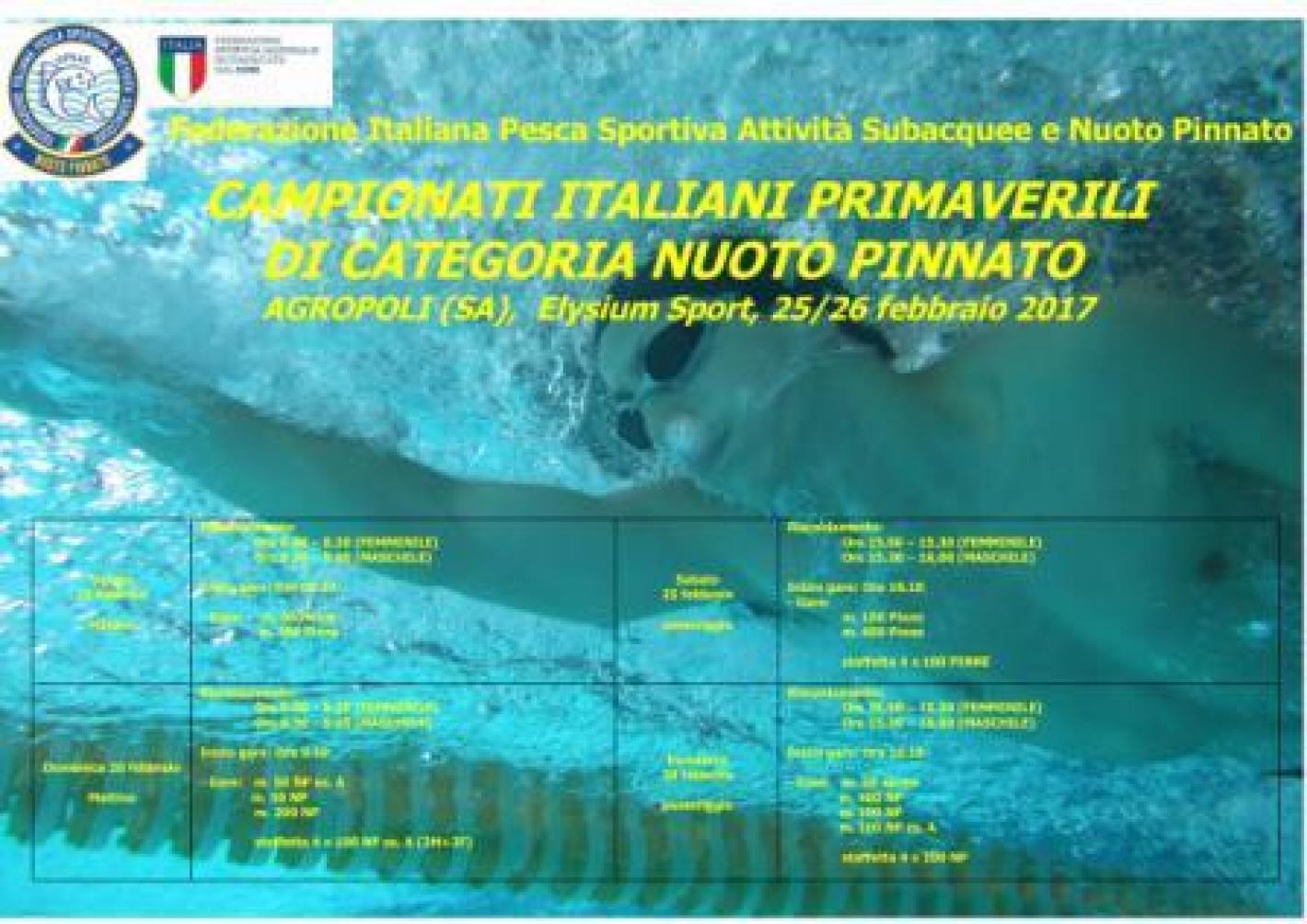 images/documenti/nuoto_pinnato/documenti2017/medium/manifesto agropoli 2017 web.jpeg